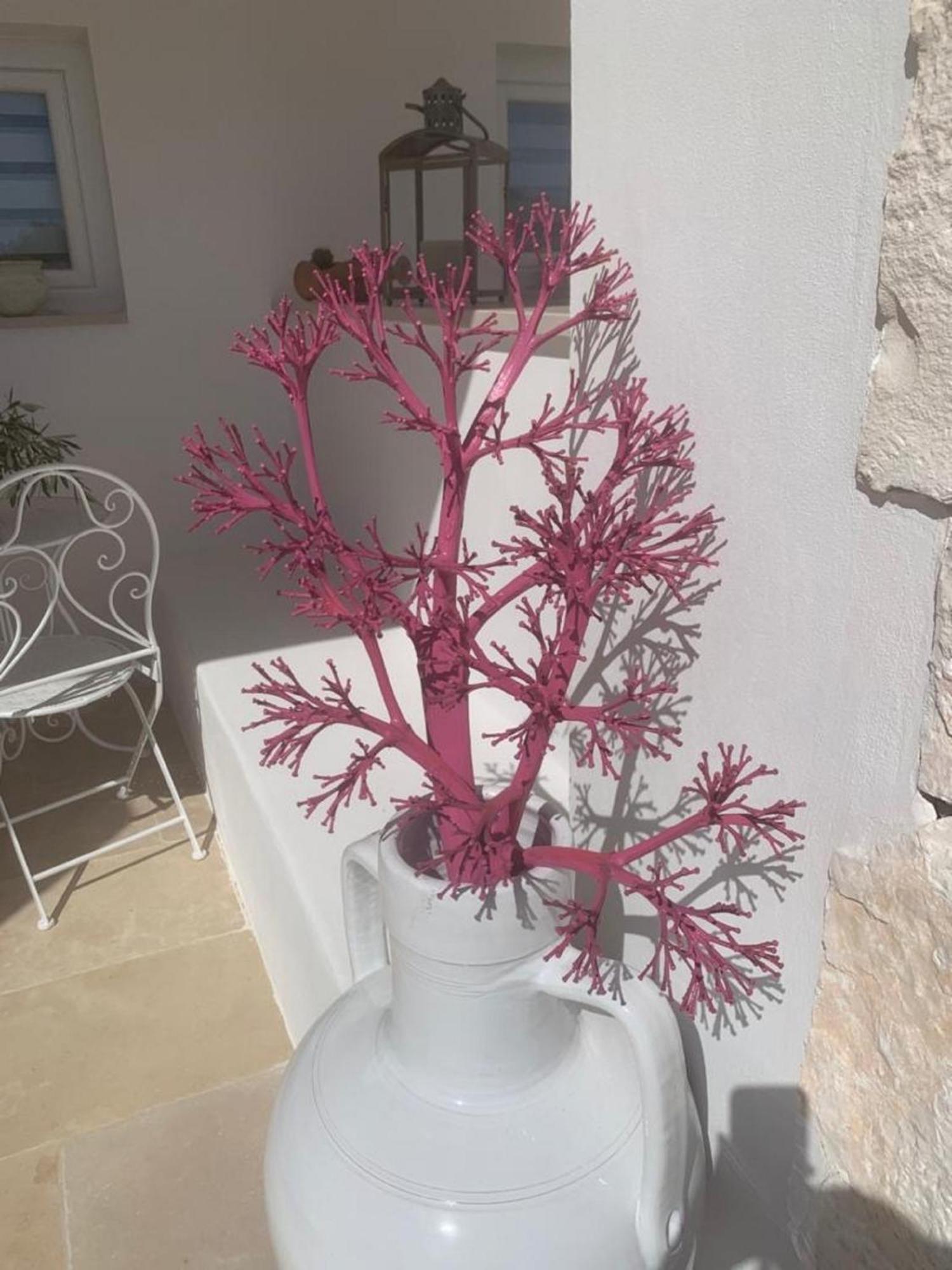 Bed & Breakfast Feudi Mandolivo