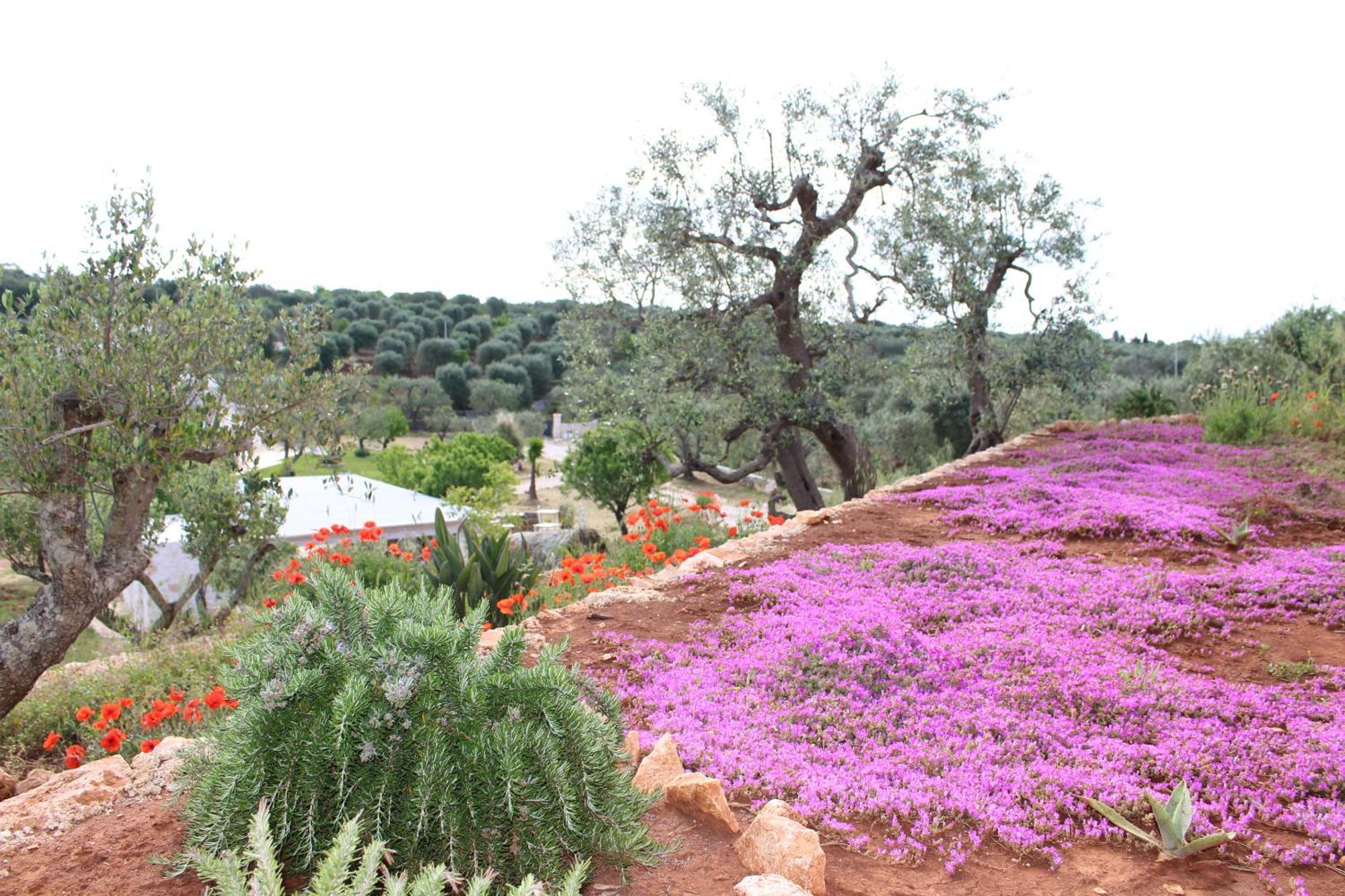 Feudi Mandolivo Bed & Breakfast Ostuni