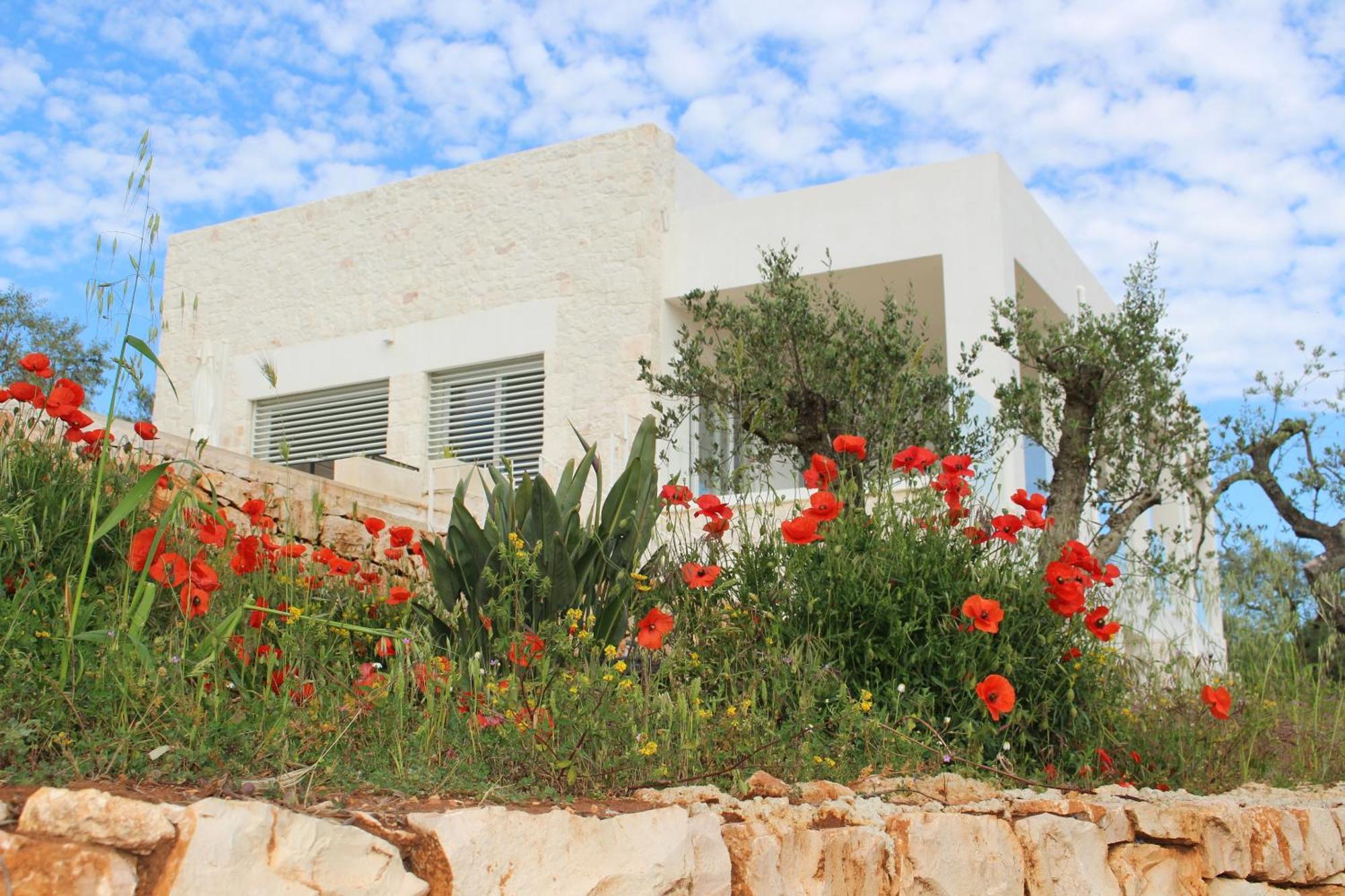 Bed & Breakfast Feudi Mandolivo